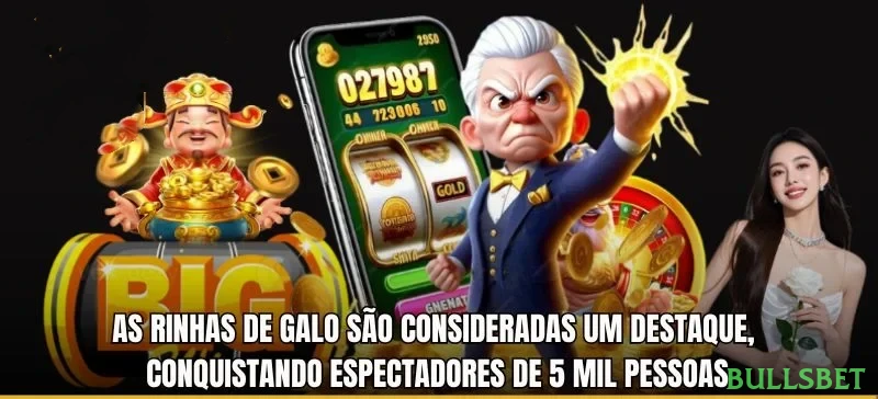Interface do App bullsbet
